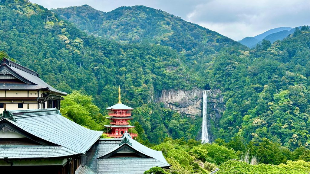Craving for more Japan Nuggets?
